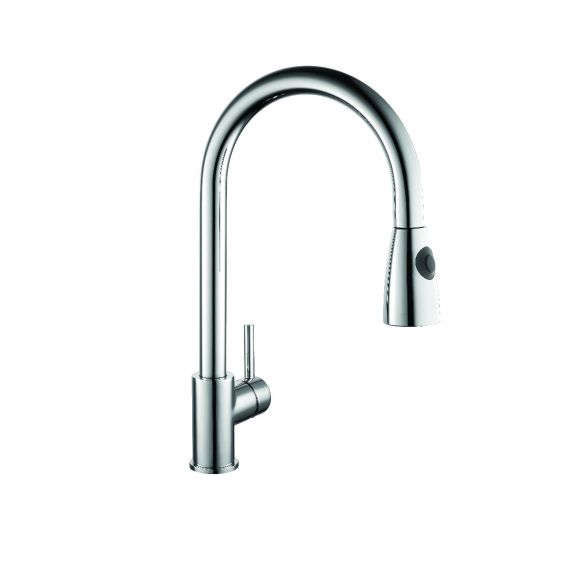 Panama Kitchen Sink Mixer With Pull Out Spray 